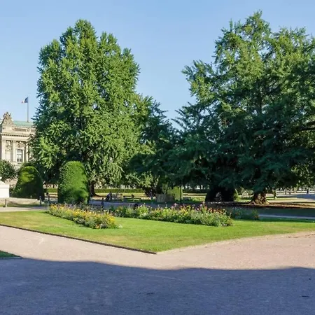 Magnifique Au Coeur De La Petite France *